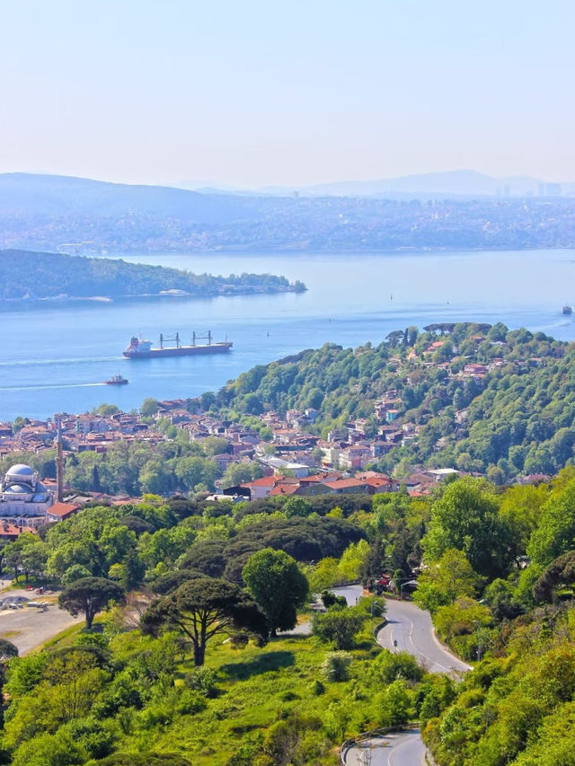 🌊 Sarıyer: Where Istanbul Breathes in Blue 🌿