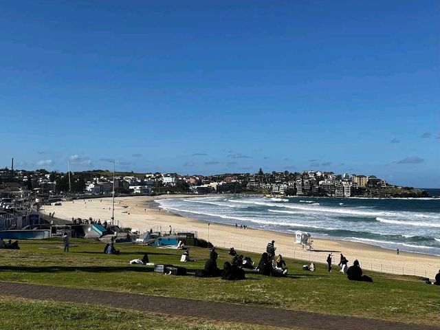 Bondi to Coogee Coastal Walk