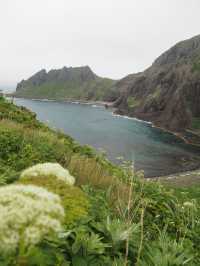 日本最北端　花の浮島礼文島🌼