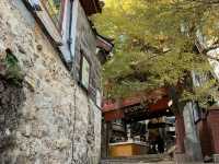 High-angle look at Lijiang Old Town