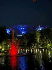 Neon Trees, Gardens by the Bay at Night