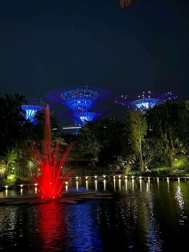 Neon Trees, Gardens by the Bay at Night