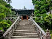 京都 | 淨土宗總本山知恩院，有著文化底蘊的古老佛寺
