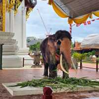 Thailand’s Greatest Hits, All in One Spot