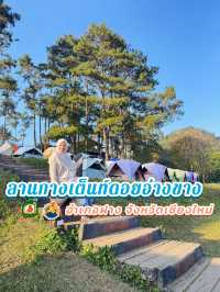 ลานกางเต็นท์ดอยอ่างขาง