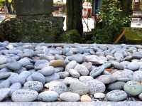 Path of Light: A Visit to Miyajidake Shrine