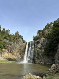 紐西蘭小眾景點—💦 Hunua Falls｜奧克蘭南方的森林秘境瀑布