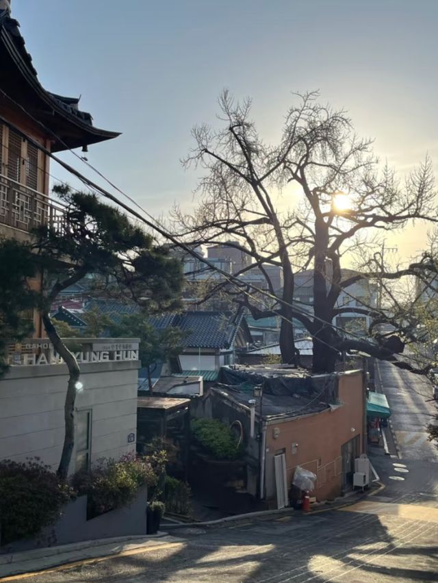 A Window to Joseon: The Charm of Bukchon Hanok
