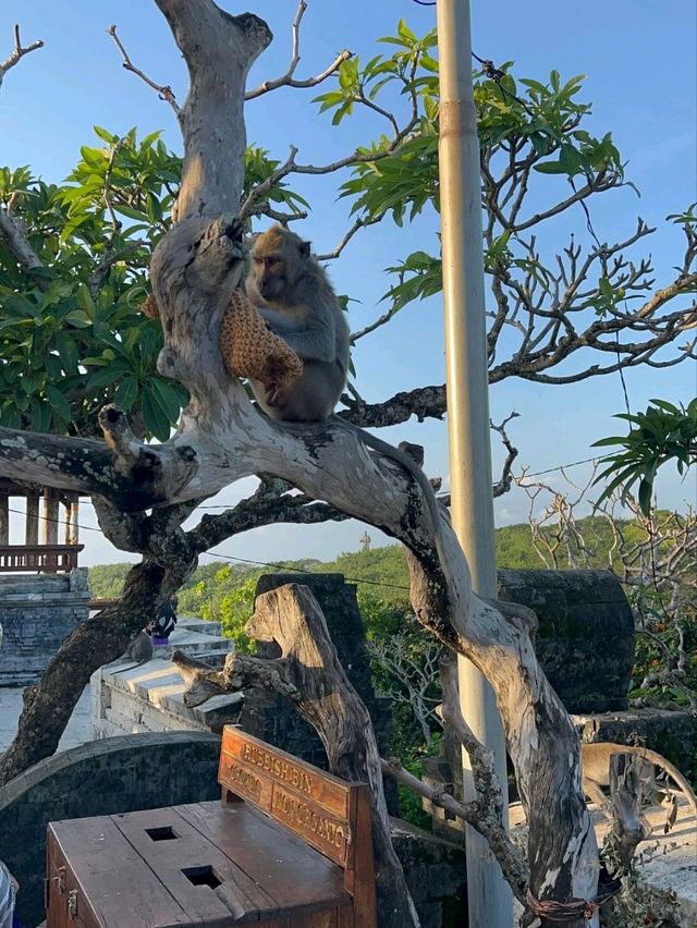 Clifftop Grace & Fiery Rhythms: A Sunset at Uluwatu Temple