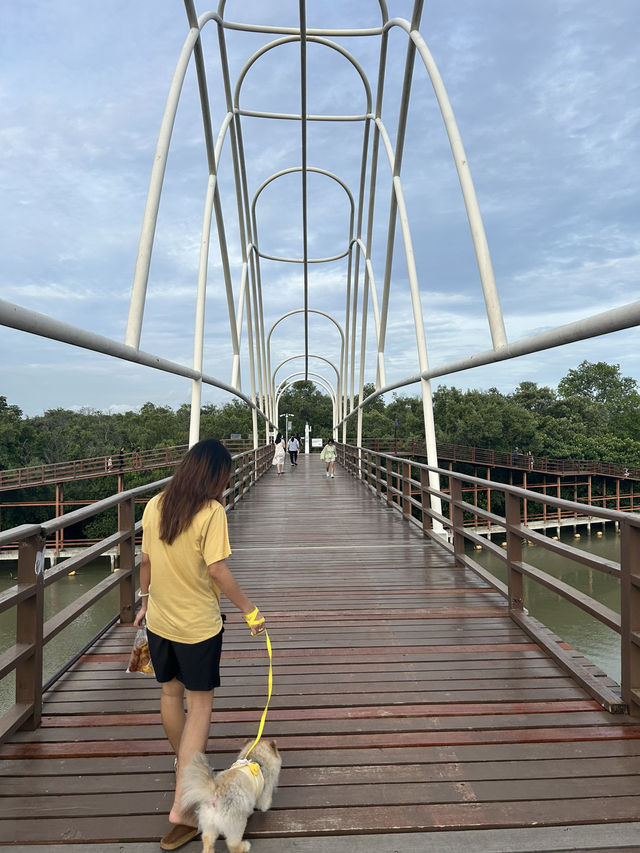 เดินสะพานไม้ สูดกลิ่นป่าชายเลน พระเจดีย์กลางน้ำ 🌿