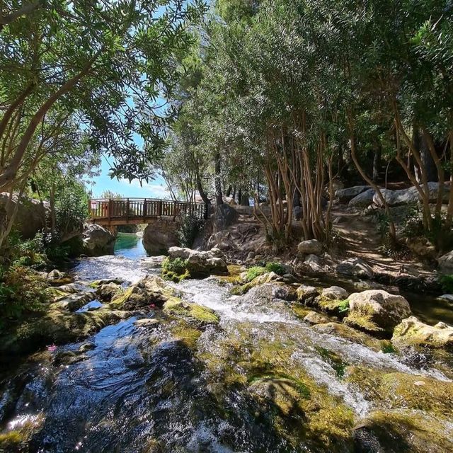 Waterfalls, Swims, and All the Good Vibes