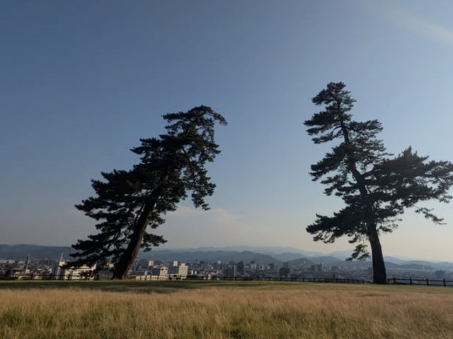 歴史ロマンに浸る⛩️鳥取城跡でタイムトラベル】