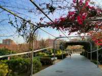 Parque Central Is Valencia’s Secret Green Spot