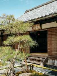 4個京都⛩️🇯🇵小眾寺廟漫遊路線 🌿