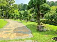 A Breath of Green at Perdana Botanical Garden