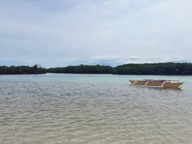 オランゴ島のビーチ🏖️