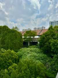 Urban Eden: Tamarind Square’s Concrete Jungle
