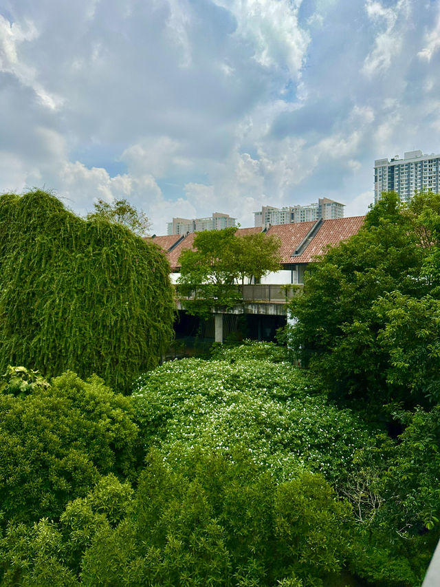Urban Eden: Tamarind Square’s Concrete Jungle
