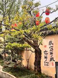 Ink and Silence: Hongcun, A Living Chinese Scroll