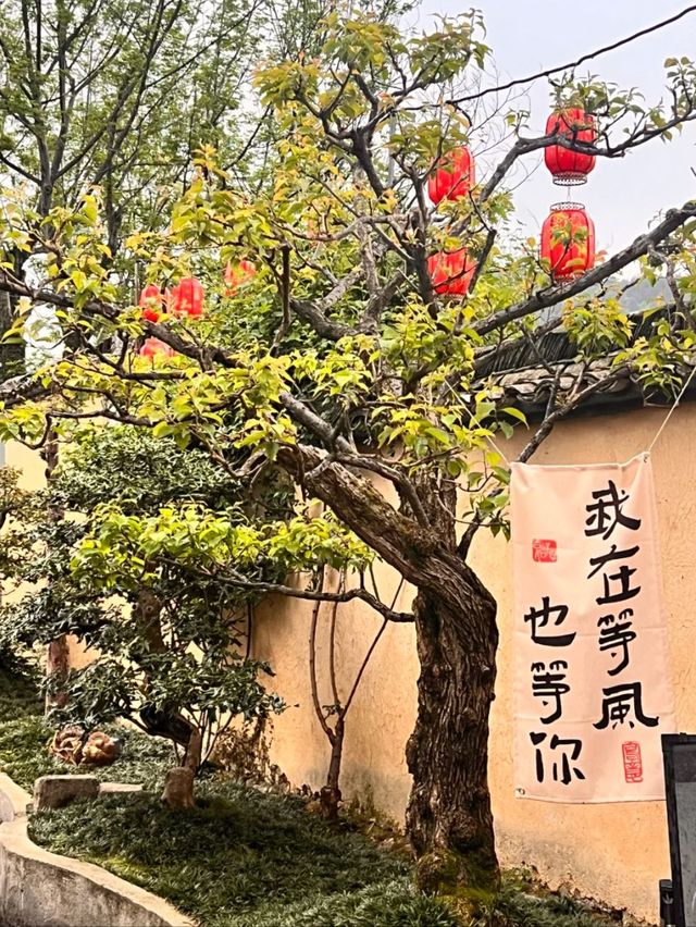 Ink and Silence: Hongcun, A Living Chinese Scroll