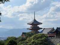 Kyoto: Arashiyama Bamboo Grove & A Taste of Kyoto! 🎋🍜