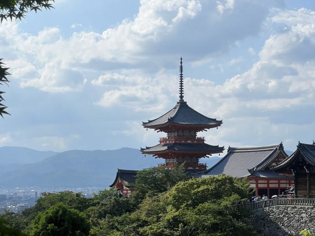 Kyoto: Arashiyama Bamboo Grove & A Taste of Kyoto! 🎋🍜