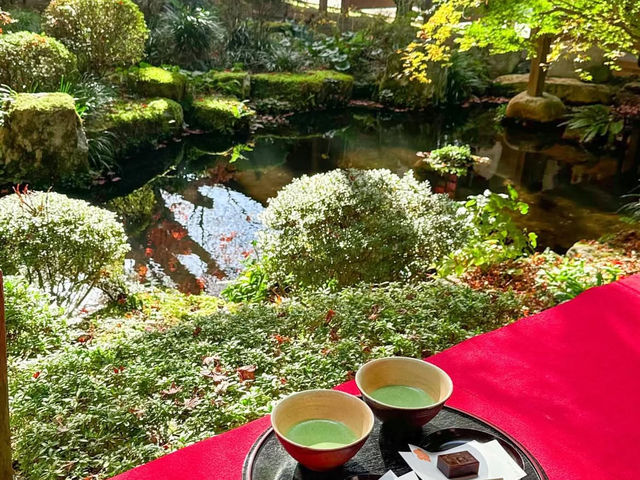 【大原三千院】山里に佇む癒しの寺🍃静寂と緑に包まれる“心の旅”