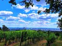 Kahlenberg, Vienna: The City’s Most Breathtaking Viewpoint 