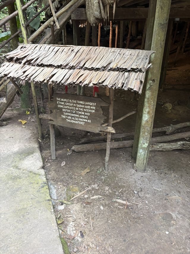 Echoes of Sabah: My Journey Through Mari Mari