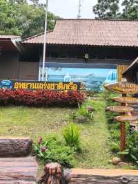 อุทยานแห่งชาติภูเรือ คือจุดหมายที่ไม่ควรพลาด