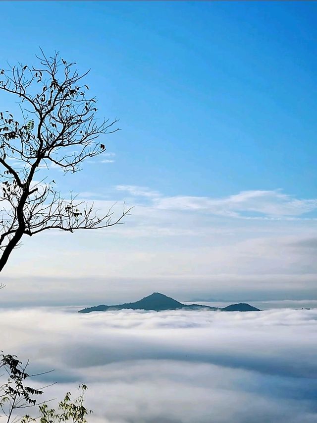มาพิชิตยอดภูบ่อบิด แล้วชมวิวเมืองเลยยามเย็นกัน