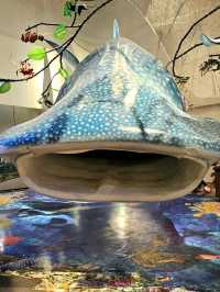 The Mind Museum – Where Science Comes Alive