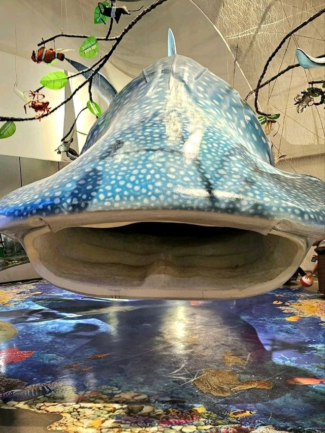 The Mind Museum – Where Science Comes Alive