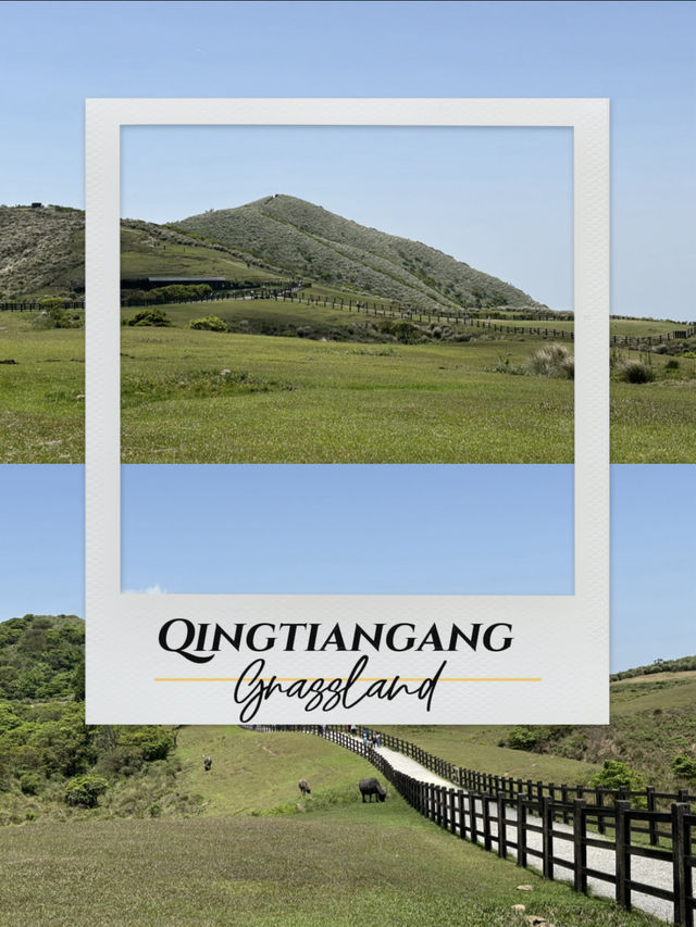 Qingtiangang grassland 
