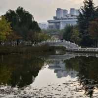 Xi’an City Walk in Shaanxi, Ancient Vibes and Street Food Goals