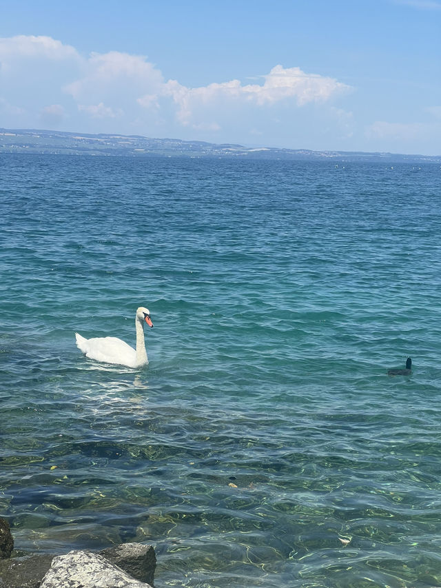 𖤣𖧧法國🇫🇷𖥧𖤥迷人的湖畔露台西餐 