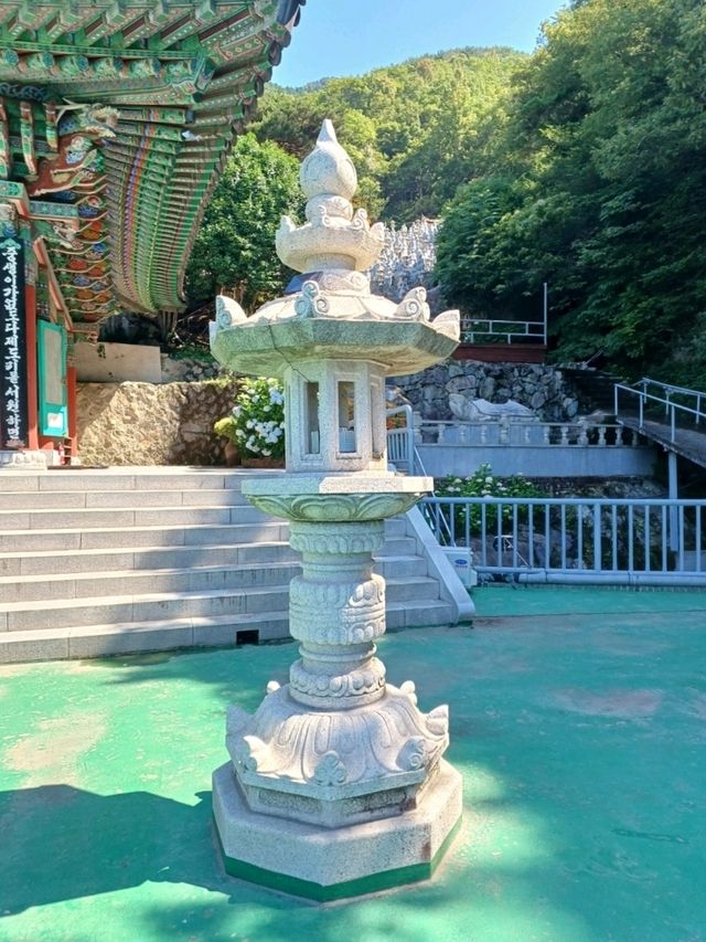 숲길 따라 만나는 고요함