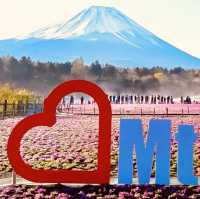 🗻 Escape to Nature: Solo Adventure at Fuji Motosuko Resort! 🌊⛺
