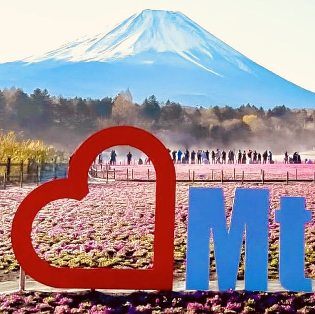🗻 Escape to Nature: Solo Adventure at Fuji Motosuko Resort! 🌊⛺