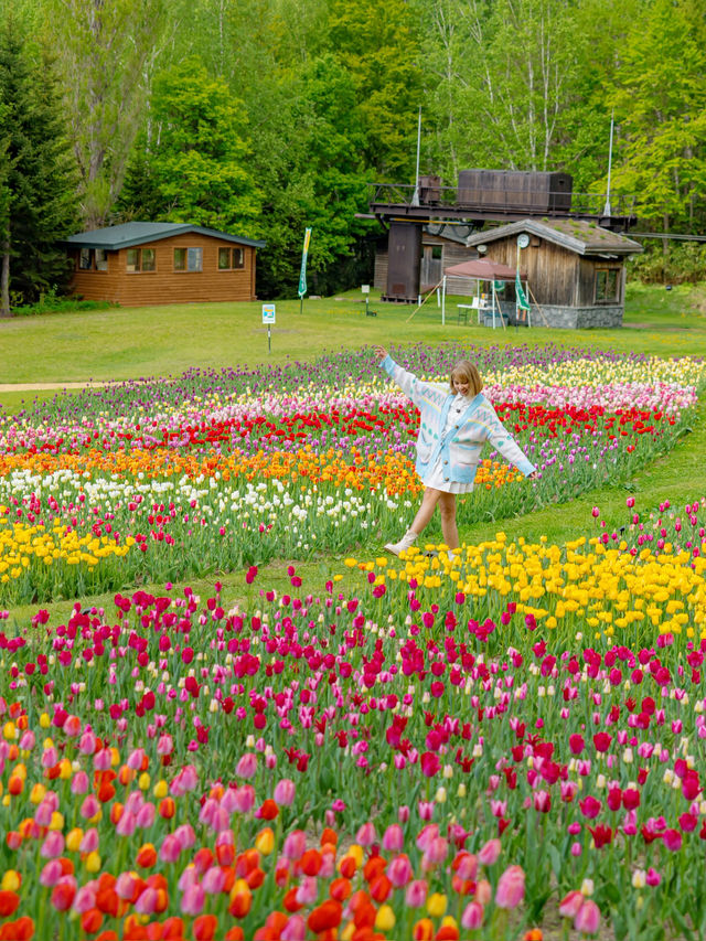 Takino Suzuran Hillside Park ชมทุ่งทิวลิปสุดอลัง🌷