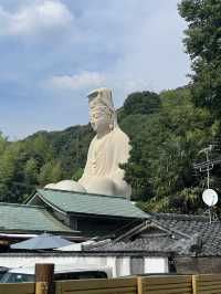 Magic, Streets & Shrines: From Osaka to Kyoto via Nara