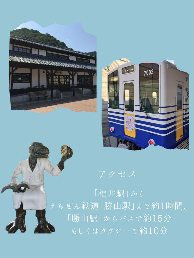 夏休みにも！こどもから大人まで楽しめる【福井県立恐竜博物館】🦖