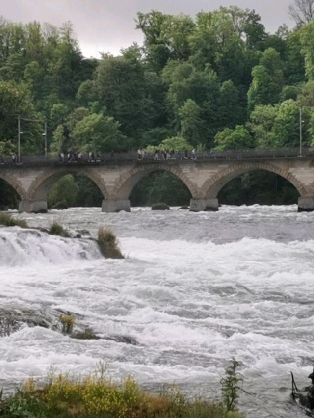 🌊Unleashed at Rhine Falls