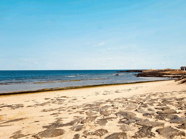 Convenient Access to Local Amenities and Seopjikoji