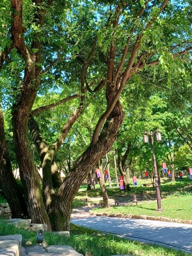 여유로운 오전 산책 추천, 광한루원 🌞