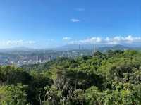 Zhangshu Trail in Wenshan, Chill Walks and Tree Vibes All Day