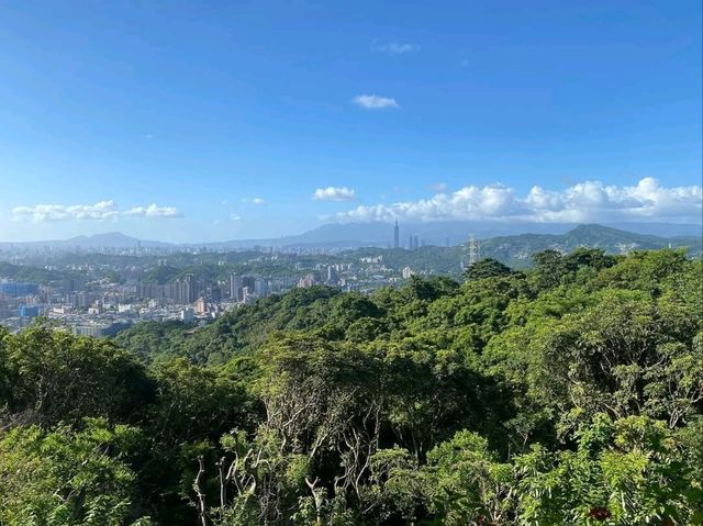 Zhangshu Trail in Wenshan, Chill Walks and Tree Vibes All Day