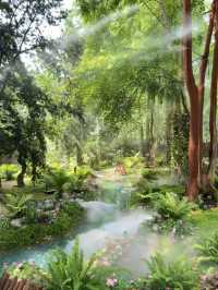 Chengdu’s New Hidden Gem: A Real-Life Emerald Forest Escape! 🦋🌿