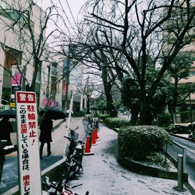 Shinjuku Trip: A Neighborhood That Captures Both Day and Night in Tokyo