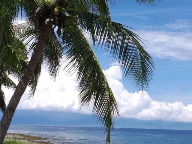 🌊 藍天碧海間的勇者試煉｜小琉球「厚石魚澳」浮潛天堂與跳海熱點
